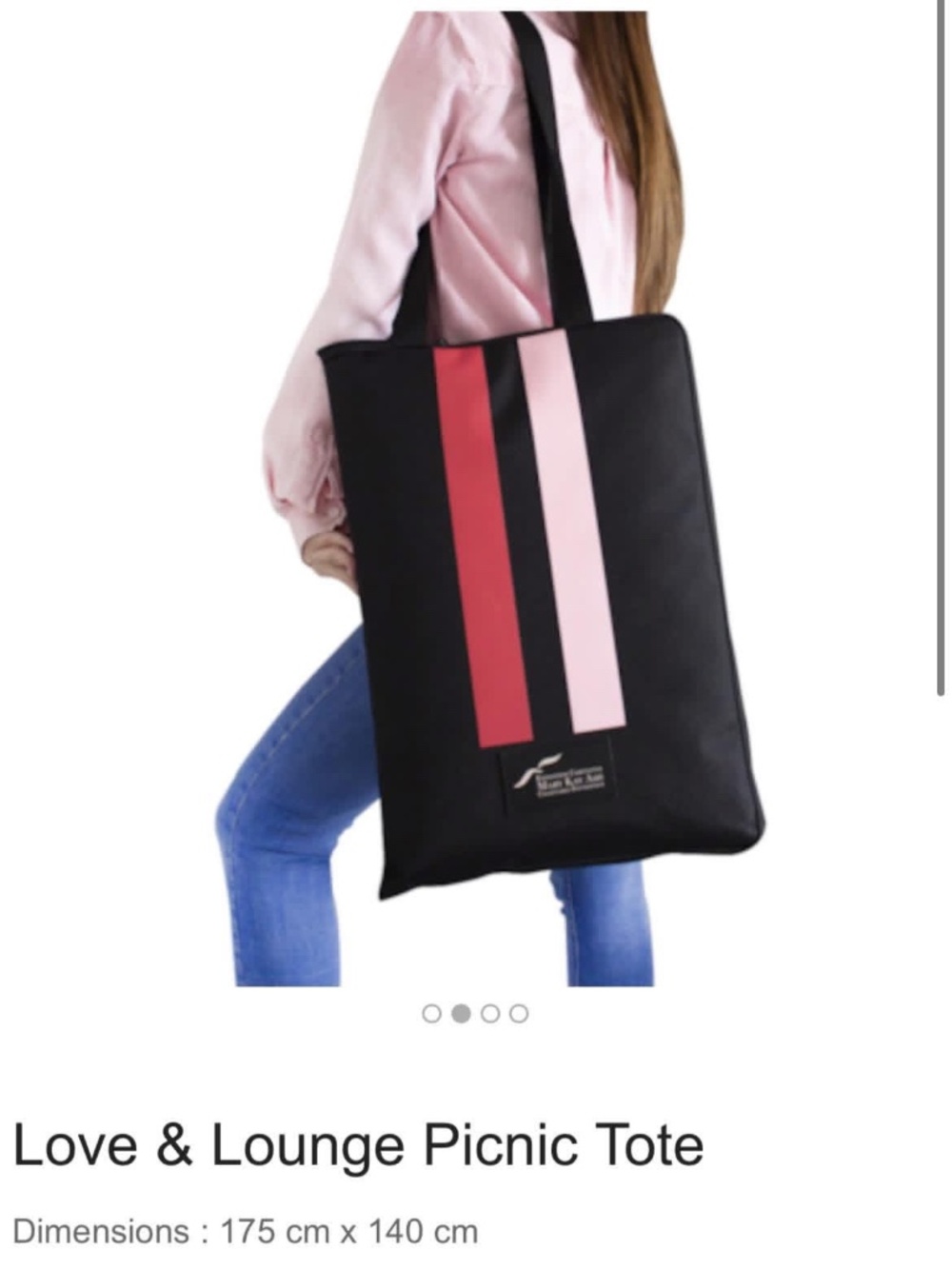 Picnic tote blanket